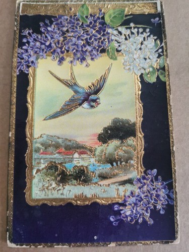 Rondine fiori viola bianchi - rondine,