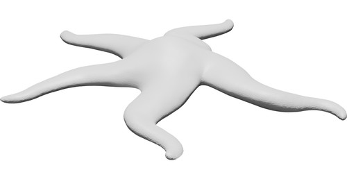 Scultura stella marina - scultura,