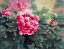 Peonie, acquerello cinese