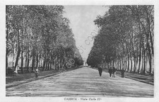 Cartolina Caserta Viale Carlo