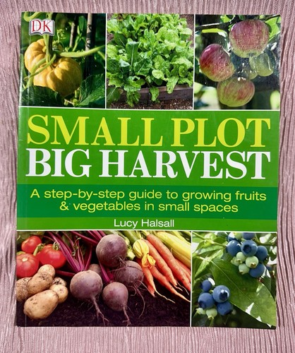 B62 small plot big - big, a