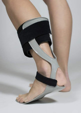 Molla Di Codivilla 100% Made