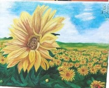 Cornice Quadro campo di