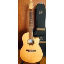 Chitarra elettrica acustica