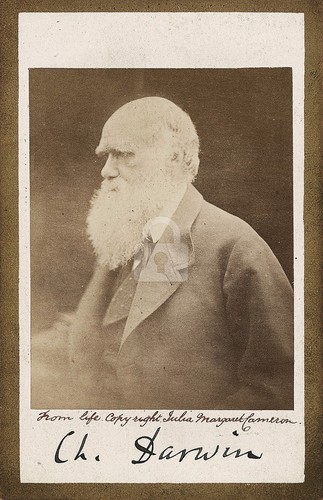 Charles darwin autografo - darwin,