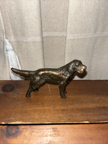 Antico setter irlandese - antico,