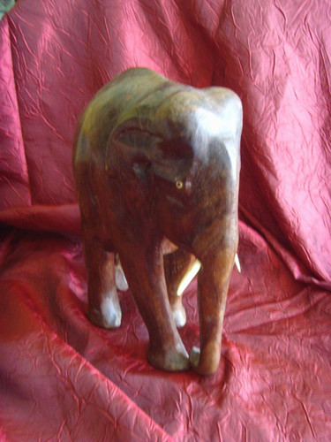 Elefante legno massello - in,