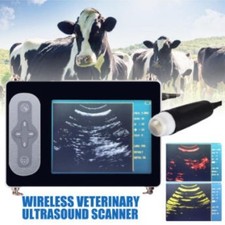 Scanner ecografico veterinario