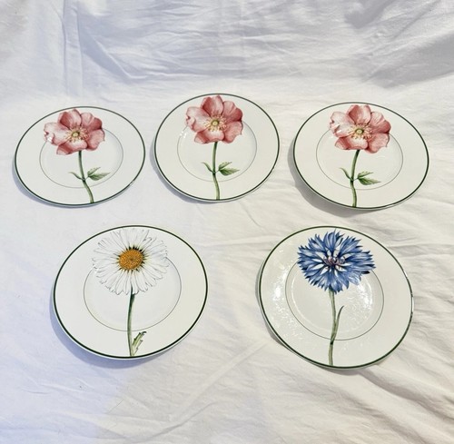 Set splendidi piatti - set,