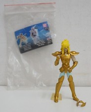 Aquarius Hyoga. Saint Seiya. I