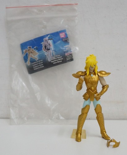 Aquarius hyoga saint seiya i - aquarius,