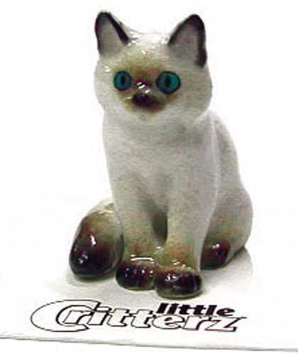 Piccola creatura gatto - ✅piccola,