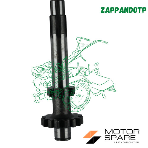 Albero asse primario - asse,