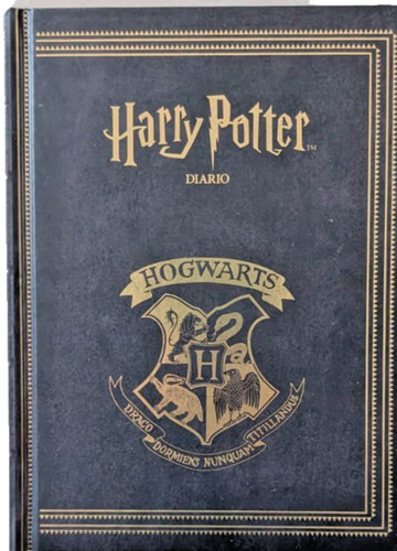 Harry potter diario scuola - potter,