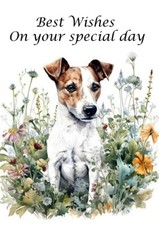 JACK RUSSELL TERRIER CUTE DOG