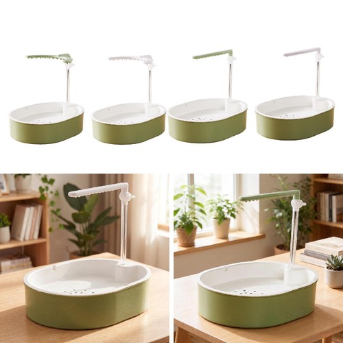 Fontana doccia per - , uccelli