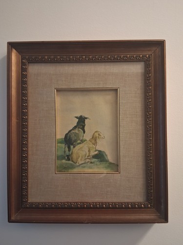 Acquerello cartoncino - acquerello, su