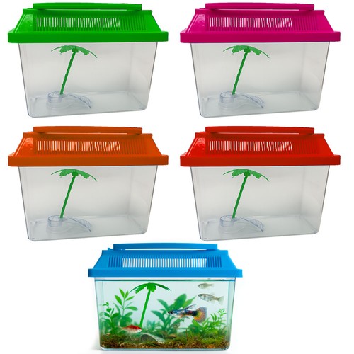 Kit avviamento acquario pesci