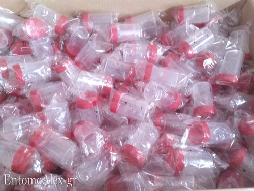 Contenitori provette plastica - contenitori,