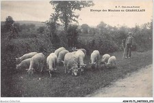 ADWP2-71-0131 - Allevamento Di