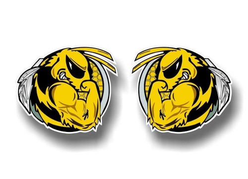 Decalcomanie vinile fighting - decalcomanie,