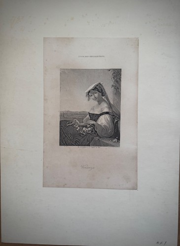 Vincenza antica stampa - vincenza-,