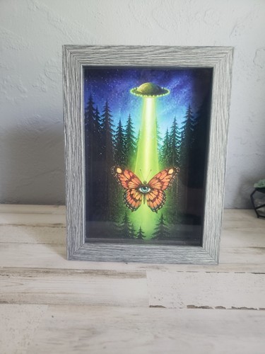 Quadro farfalla monarca