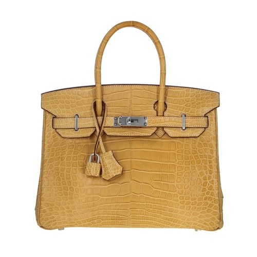 Hermes pelle esotica - , opaca