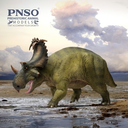 Pnso 2025 russo the - pnso,