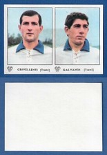 FIGURINA CALCIATORI PANINI