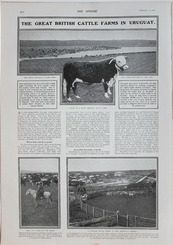 1902 stampa great british - great,