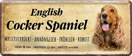Targa latta english - ,