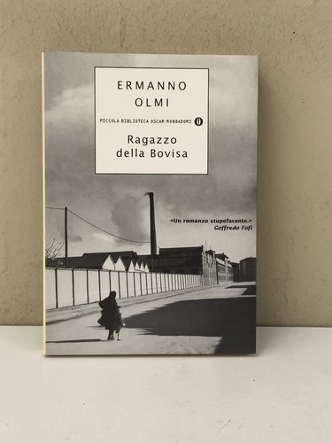 Ragazzi della bovisa ermanno - ragazzi,