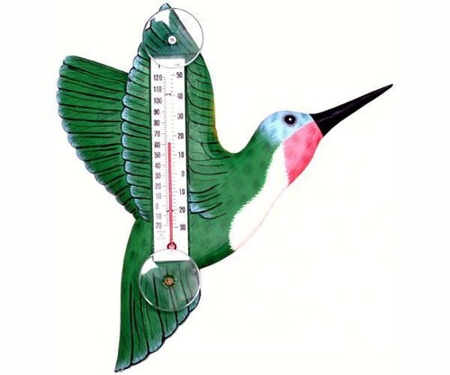 Termometro finestra colibrì