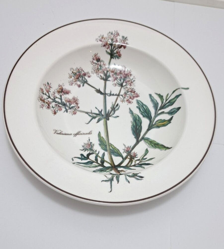 Piatto zuppa villeroy - piatto, &