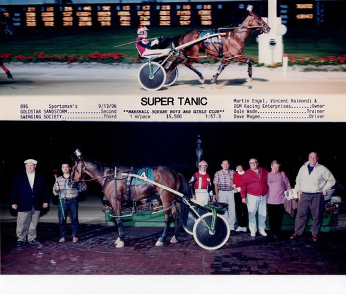 Pista sportiva super tanic - sportiva,
