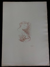 Domenico purified engraving - domenico,