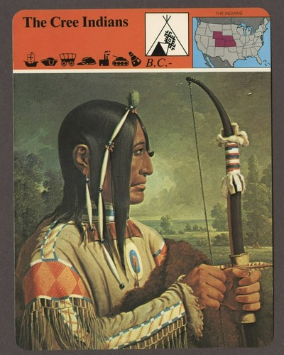 The cree indians - the,