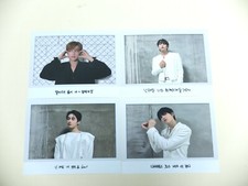 DKB Autumn Official Polaroid