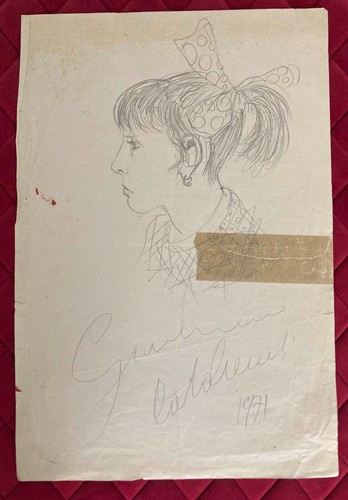 Viso femminile disegno - viso,