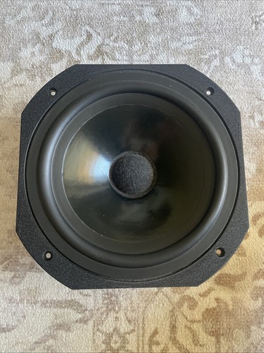 Altoparlante focal 10n 501 - 10n,
