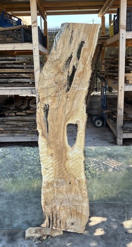 Tavola legno ulivo - tavola, di