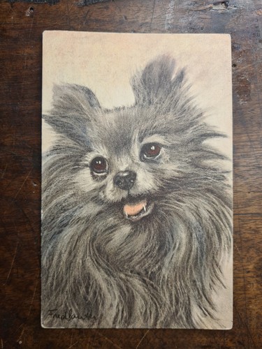 Cartolina cane pomerania - cane,
