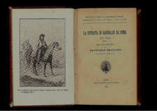 LA RITIRATA DI GARIBALDI DA