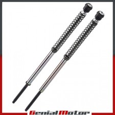 HARLEY DAVIDSON DYNA FAT BOB