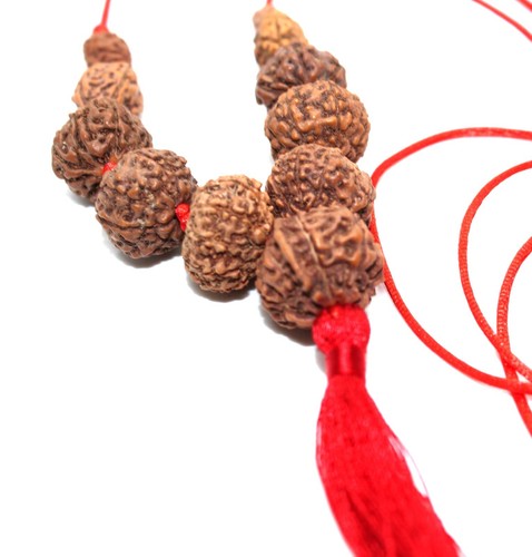 Rudraksh rudraksha 10 - to,