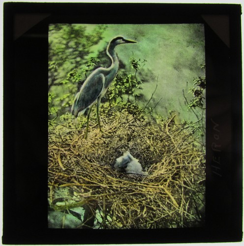 Colour glass magic lantern - colour,