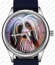 Orologio Da Polso Con Cassa Di