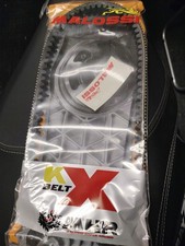 Malossi Cinghia Variatore