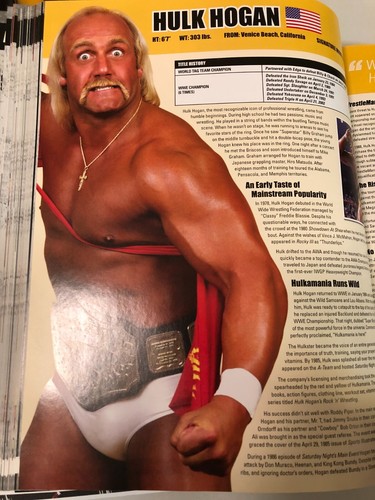 Hulk hogan wrestling - wrestling, wwe